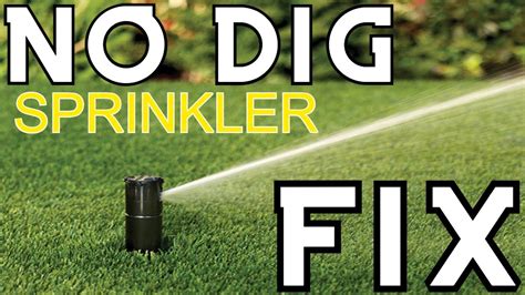 Sprinkler Head Leaking When Off: The Common Causes and。